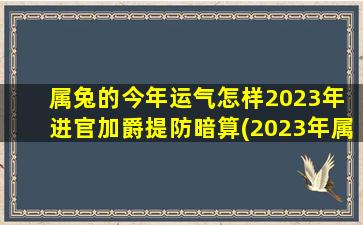 属兔的今年运气怎样2023年 进官加爵提防暗算(2023年属兔人的运势：官运亨通，但需提防暗算)